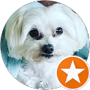 Agent It profile picture